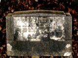 image of grave number 56404